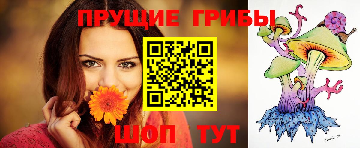 Галлюциногенные грибы Psilocybe Прохладный